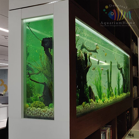 Aquarium Home Gurgaon