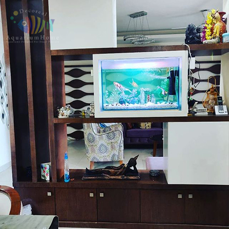 Aquarium Home Gurgaon